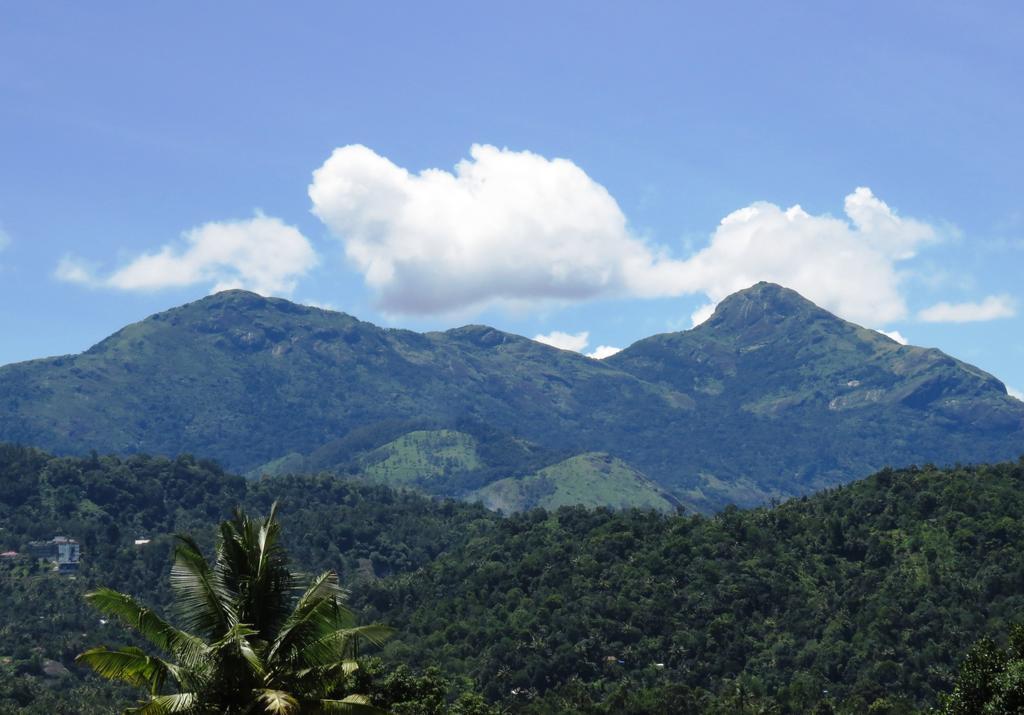 Mistletoe Homestay & Cafe Munnar Exterior photo